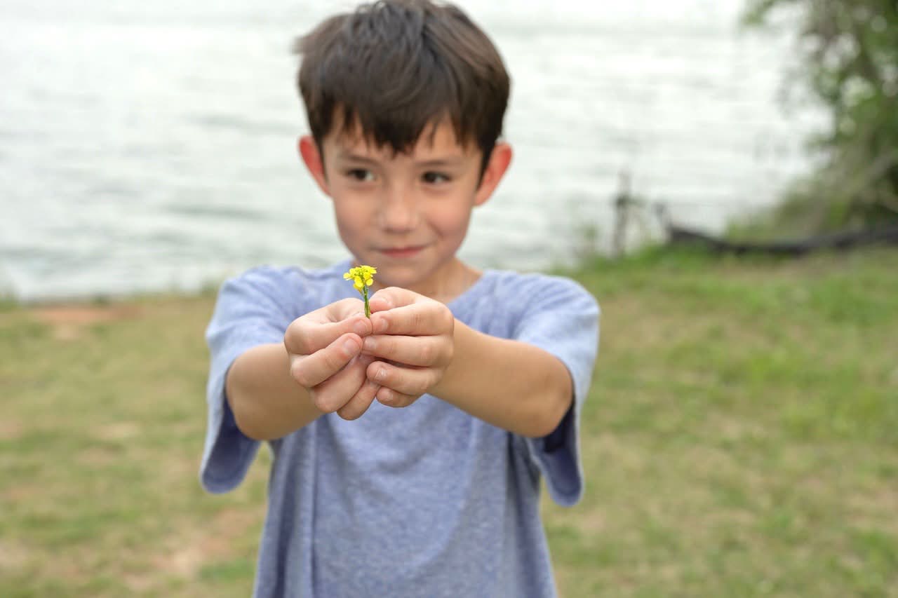 Child holding a yellow flower forward
