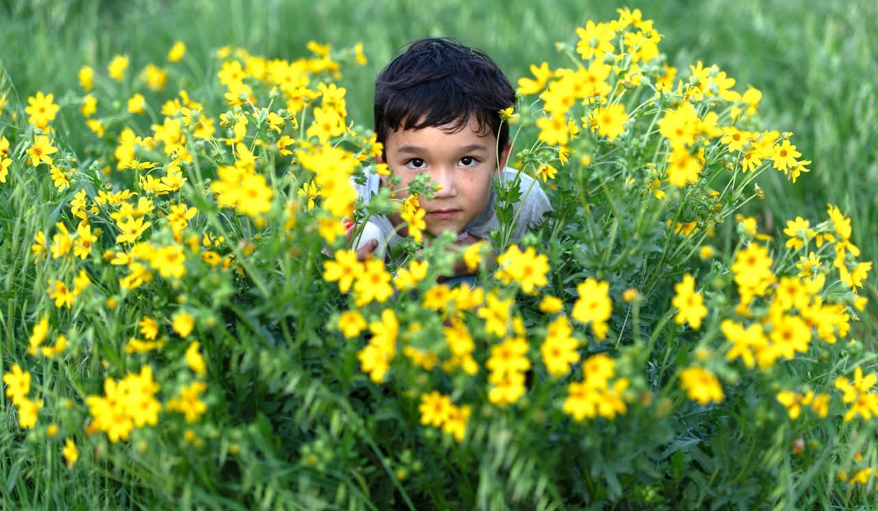 Child peeking through yellow flowers
